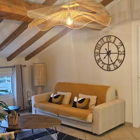 Appartement Rooftop T3 Vecchio Corse *